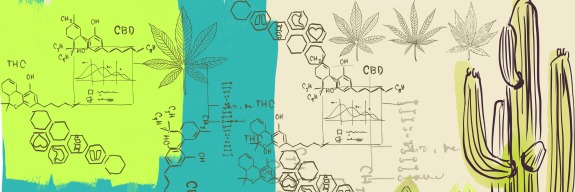 hand-drawn illustrations of cactus, chemical symbols of cannabis, cannabis leaves