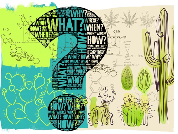 hand-drawn illustration of a black question mark filled with "what?" "when?" "how?" on a background of cactus, cannabis leaves, THC and CBD chemical structures