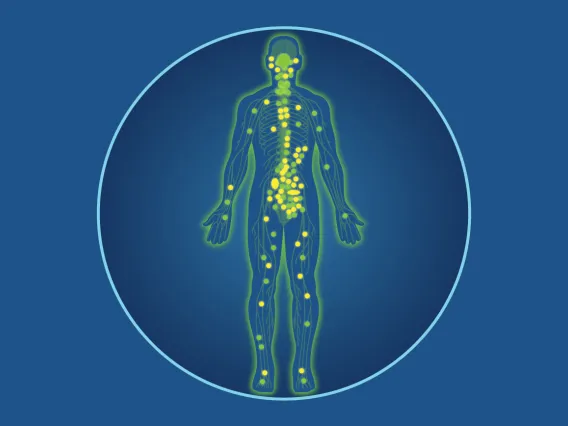 illustration of a human body with dots highlighting areas affected by endocannabinoids