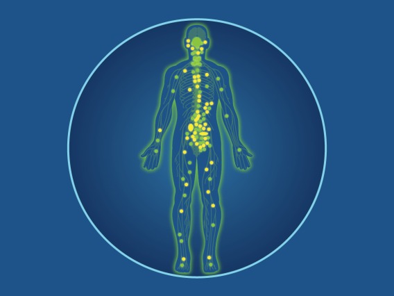 illustration of a human body with dots highlighting areas affected by endocannabinoids