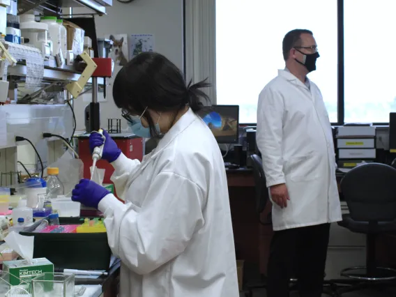 researchers in a lab at the Comprehensive Center for Pain & Addiction