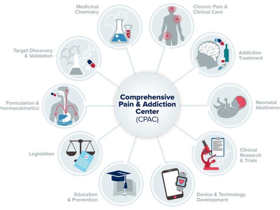 infographic showing eight areas of focus for the Comprehensive Center for Pain & Addiction