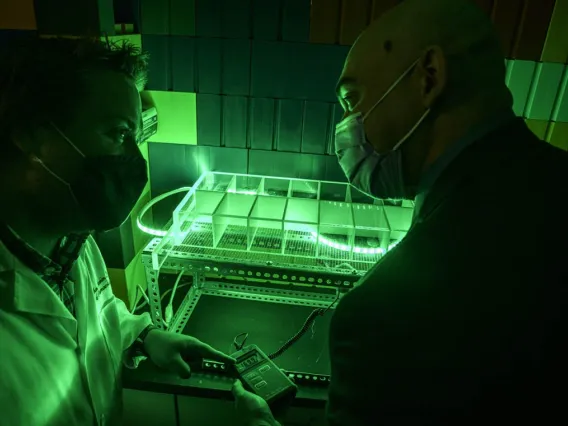 two researchers in a lab lit by green lights