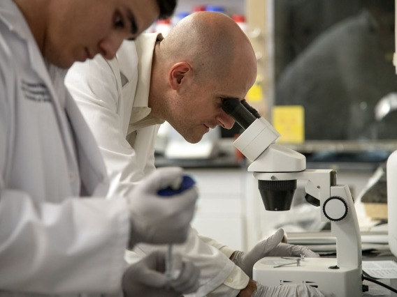 two researchers in a lab, one looking through microscope, one pipetting