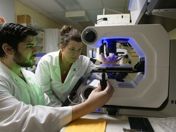 two researchers working on a microscope in a lab at the Comprehensive Center for Pain & Addiction