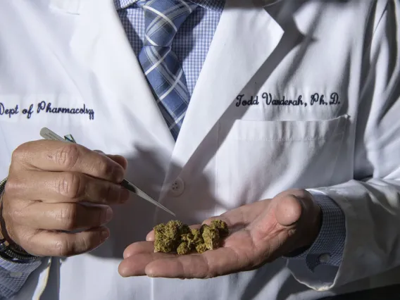 researcher in white coat holding cannabis in hand