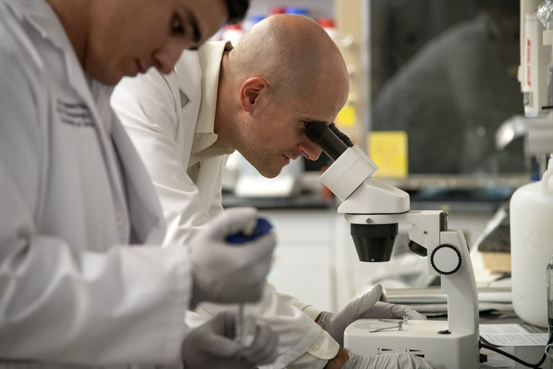 two researchers in a lab, one looking through microscope, one pipetting