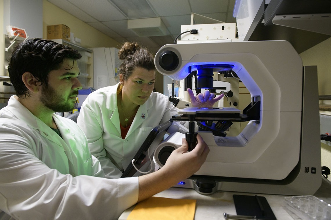 two researchers working at a microscope in a lab